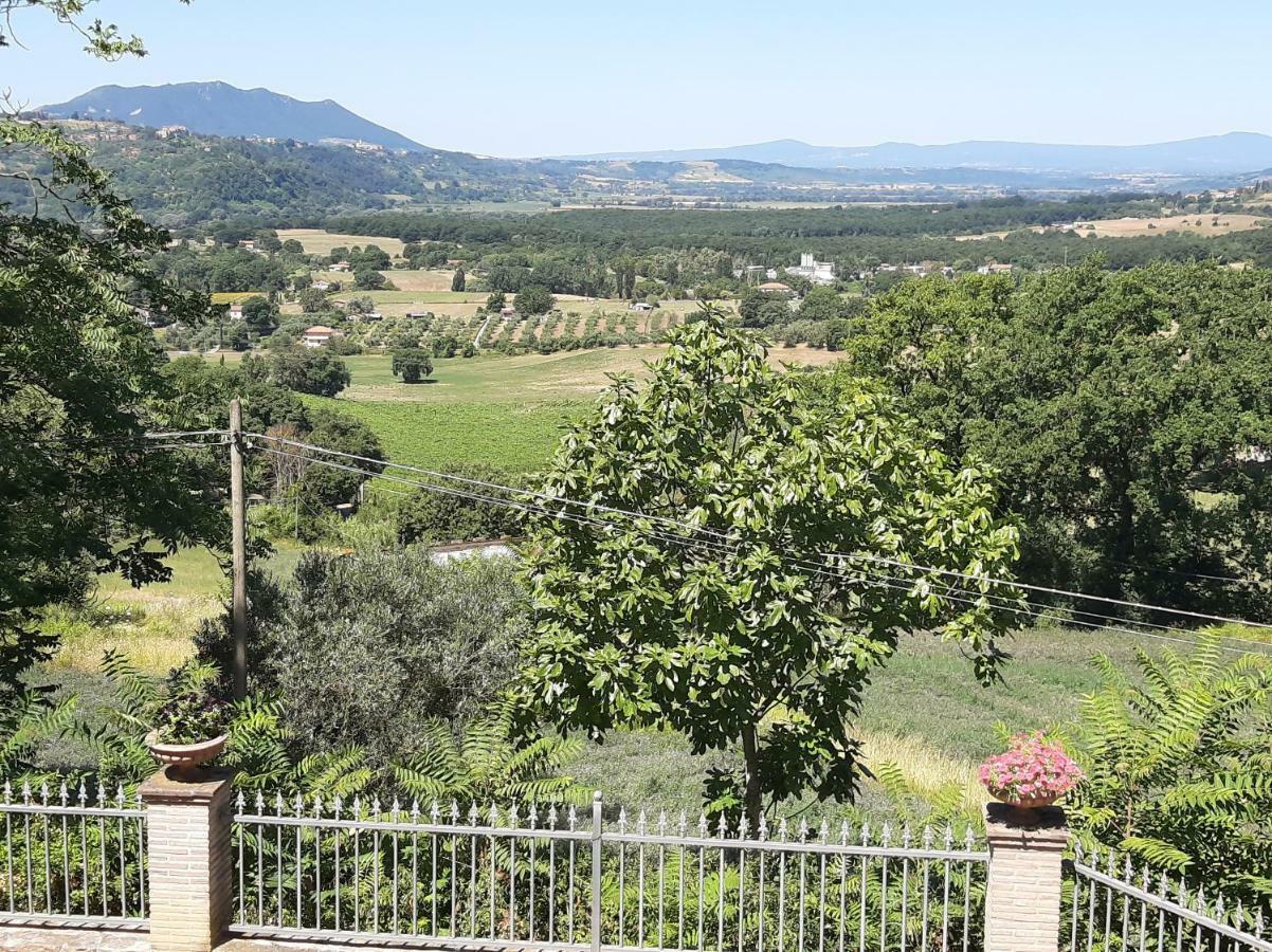 Villa Pacchini Poggio Mirteto المظهر الخارجي الصورة